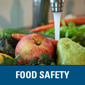 Food Safety link - fresh fruits and veggies under running water in the sink
